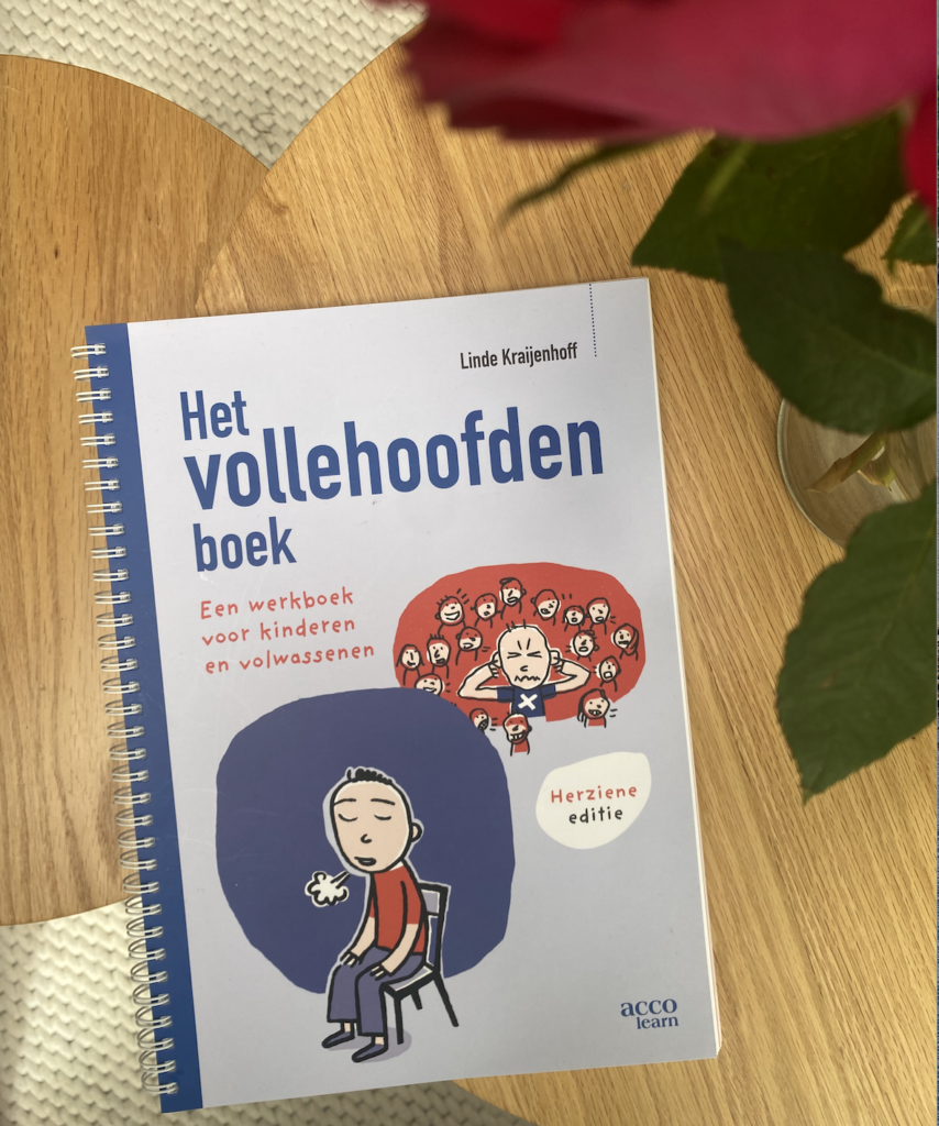 Volle Hoofden Boek: Een Weg naar Rust voor Kinderen én Volwassenen