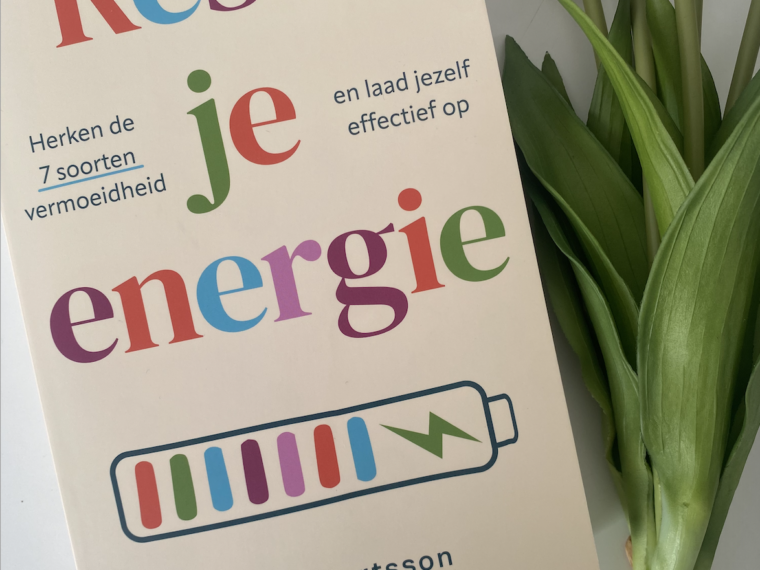 Reset je energie van Lina Ejlertsson is een boek dat mij op een heel persoonlijk moment in handen kwam. Ik ben gewend om ‘aan’ te staan